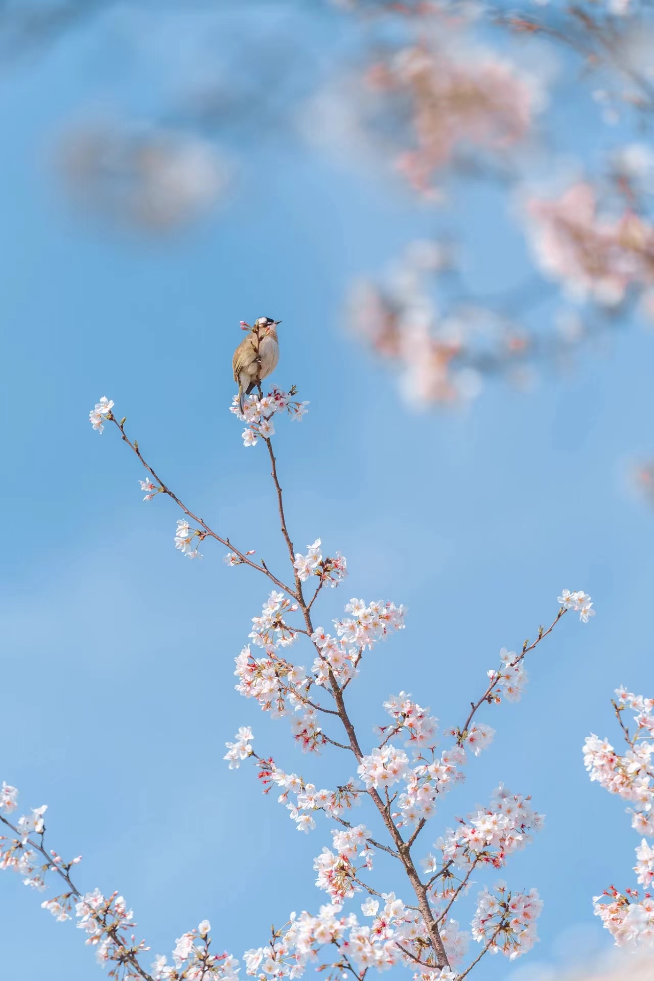 提前十分鐘，人生大不同